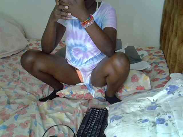 L-isa webcam