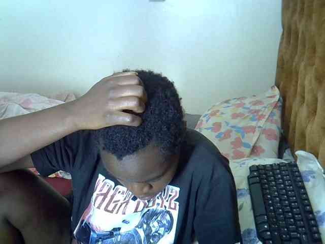 L-isa webcam