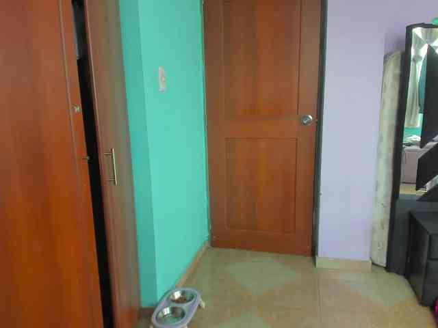 Rouse1 webcam
