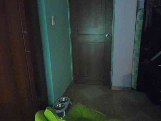 Rouse1 webcam