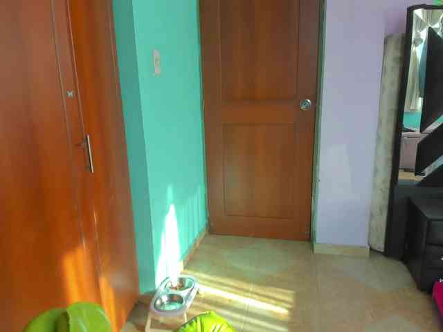 Rouse1 webcam