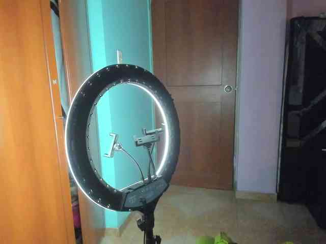 Rouse1 webcam