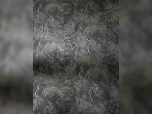 Asja webcam