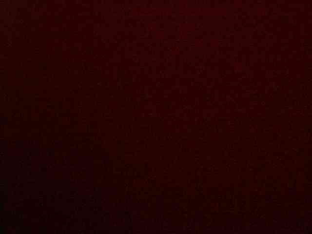 Timina webcam