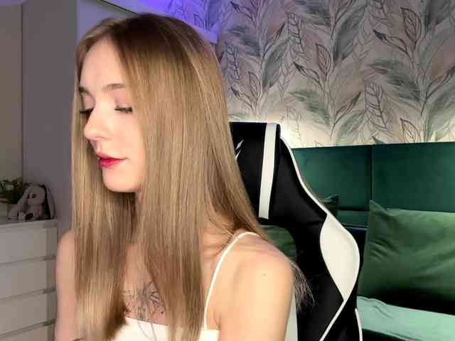 VersieBruegman webcam