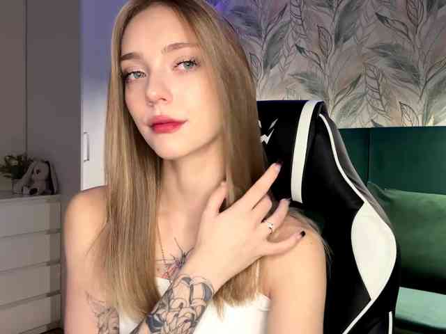 VersieBruegman webcam