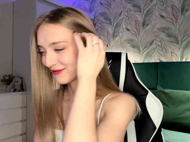 VersieBruegman webcam