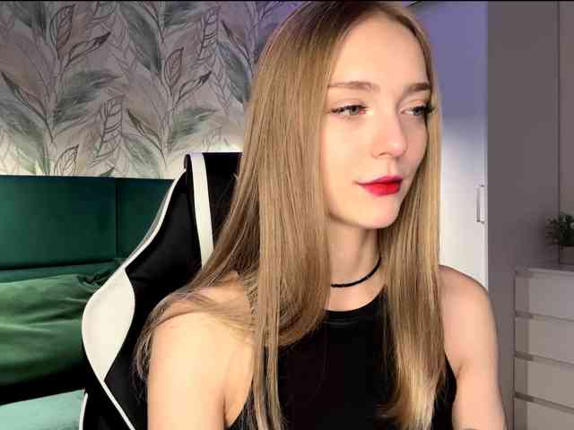 VersieBruegman webcam