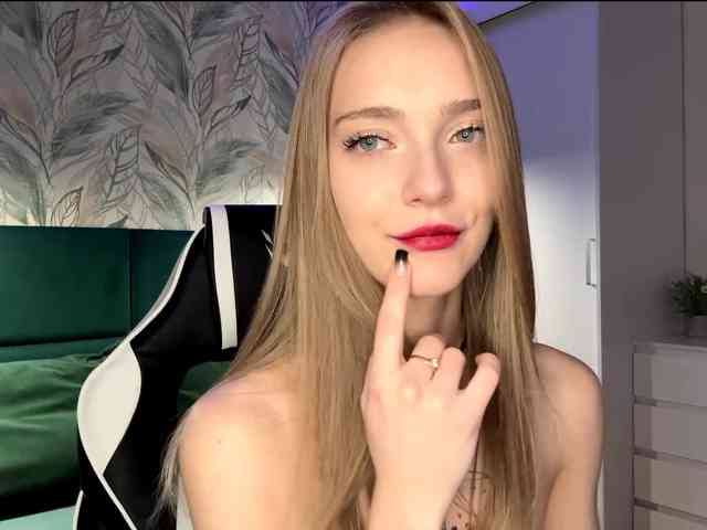 VersieBruegman webcam