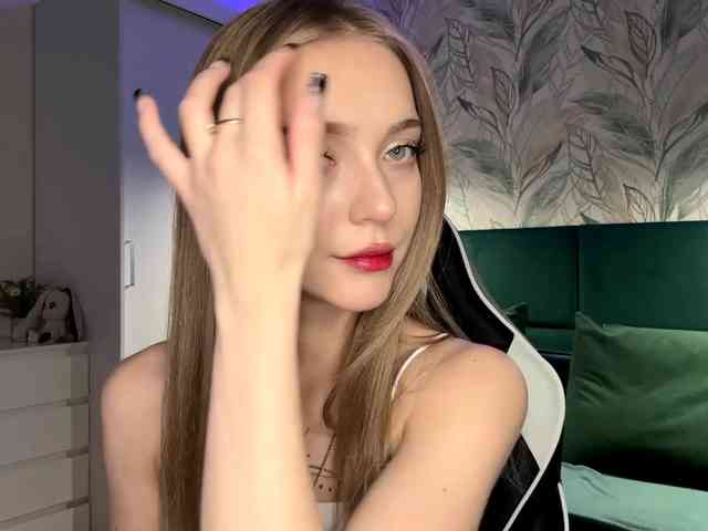 VersieBruegman webcam