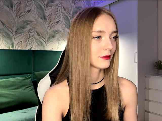 VersieBruegman webcam