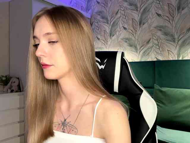 VersieBruegman webcam