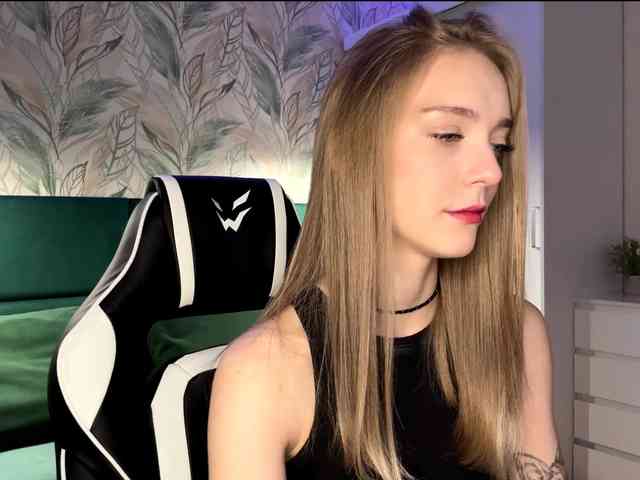 VersieBruegman webcam