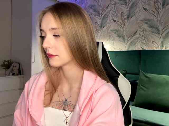 VersieBruegman webcam