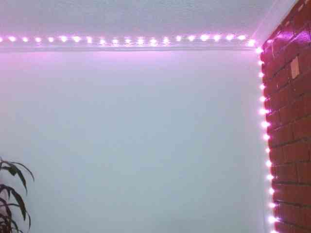 Medussa333 webcam