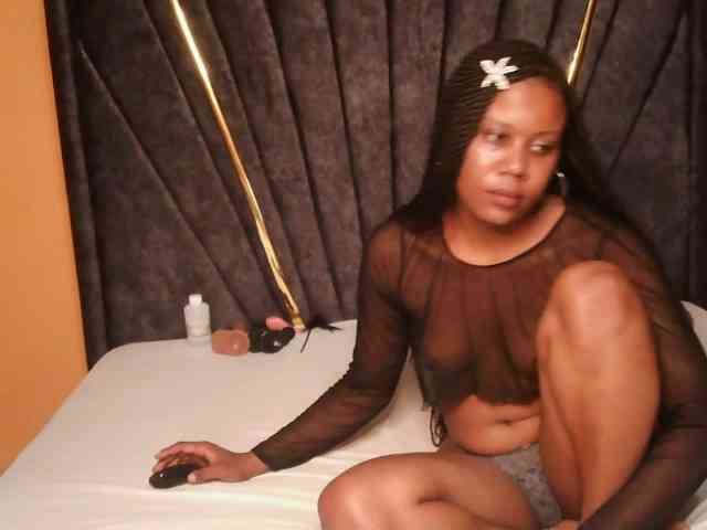 SilkyTouchB webcam