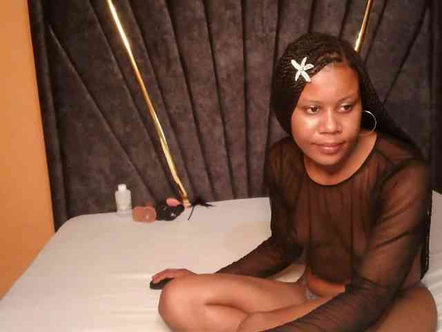 SilkyTouchB webcam