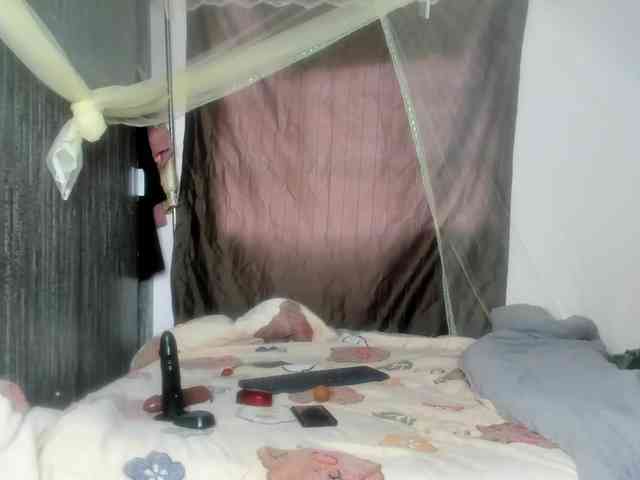 Foxy-Roxy webcam