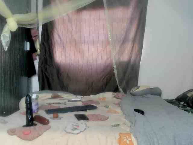 Foxy-Roxy webcam