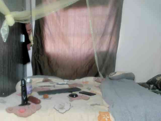 Foxy-Roxy webcam