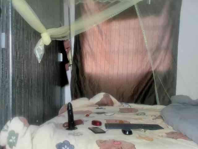 Foxy-Roxy webcam
