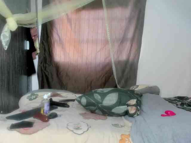 Foxy-Roxy webcam