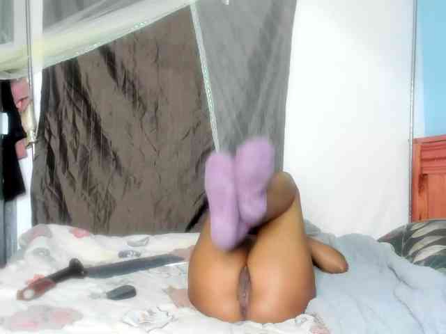 Foxy-Roxy webcam