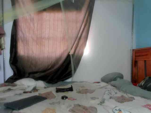 Foxy-Roxy webcam