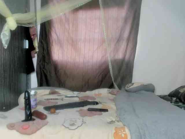Foxy-Roxy webcam