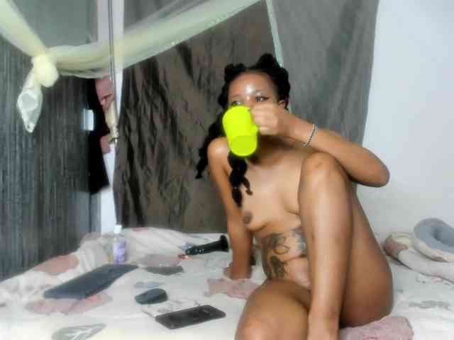 Foxy-Roxy webcam