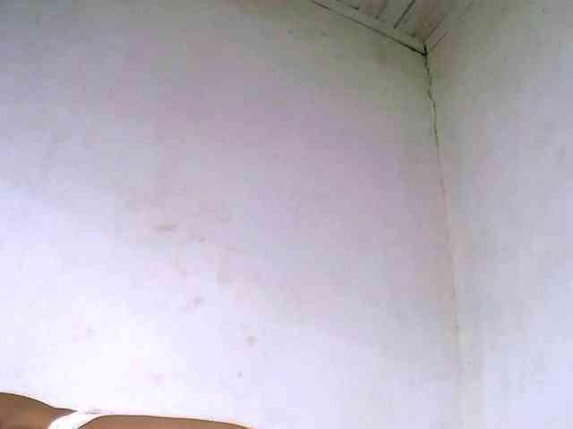 DonnelaQuin webcam