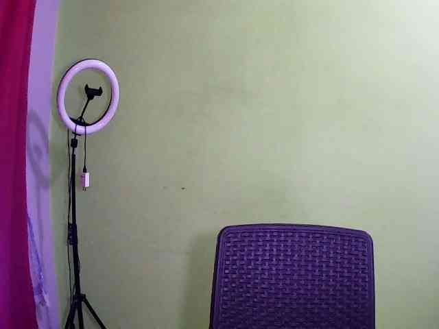 Merlis0x webcam