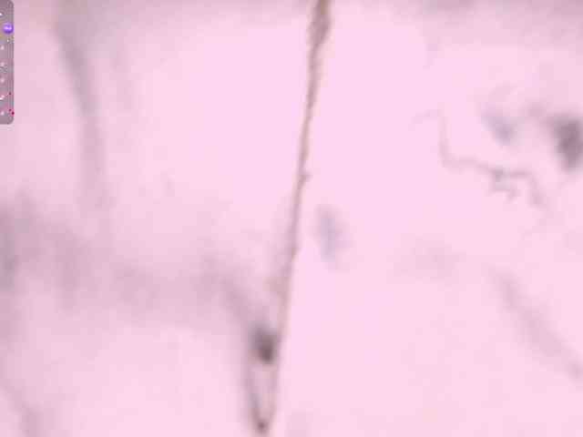 Maligosh webcam