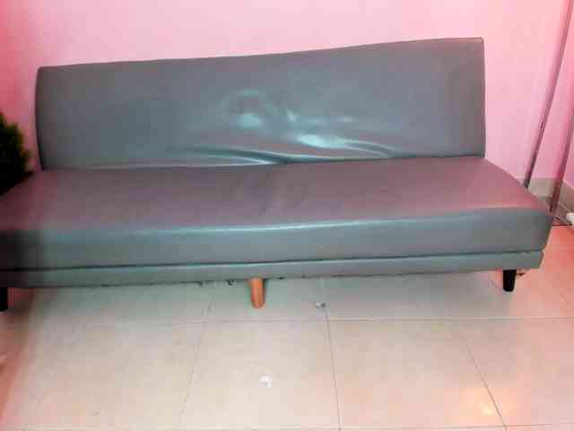 rasterpartypro webcam