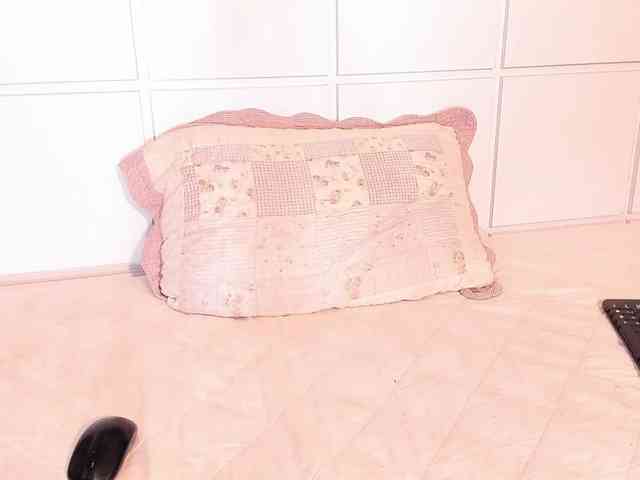 CatalinaSantana1 webcam