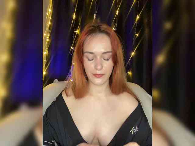 Veks webcam