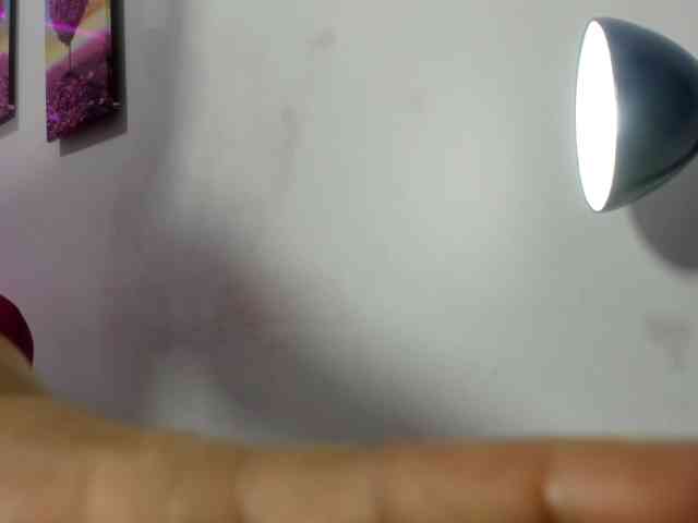 SHAROM-ADAMS webcam