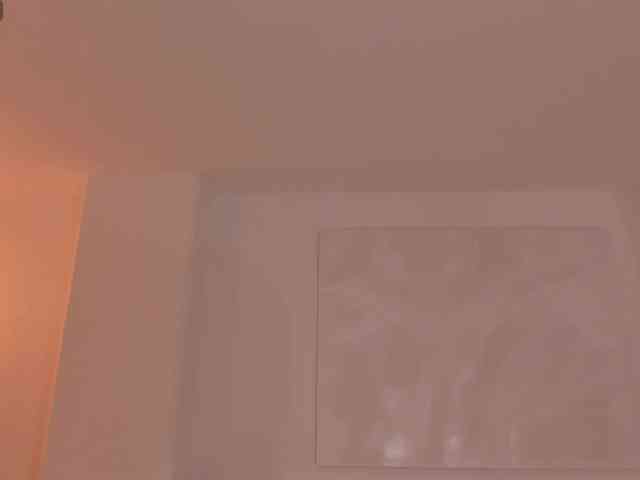 ChristineFord webcam