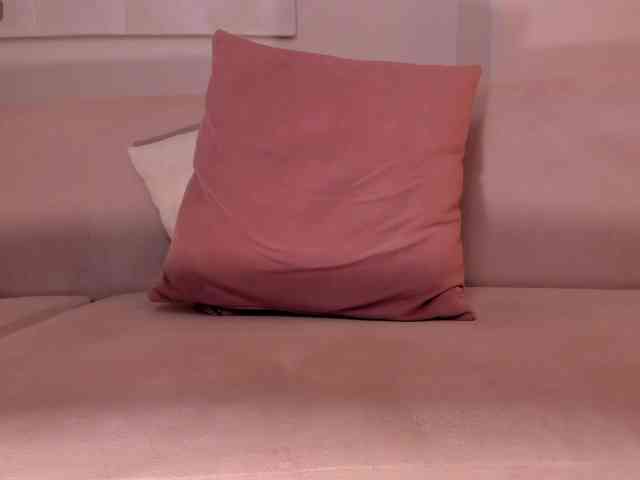 ParisWaldorf webcam