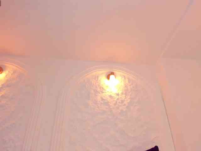 CelesteMoon webcam