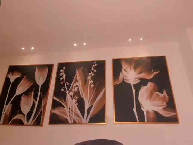 CelesteMoon webcam