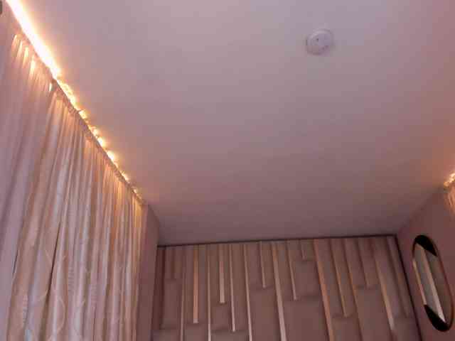 CelesteMoon webcam
