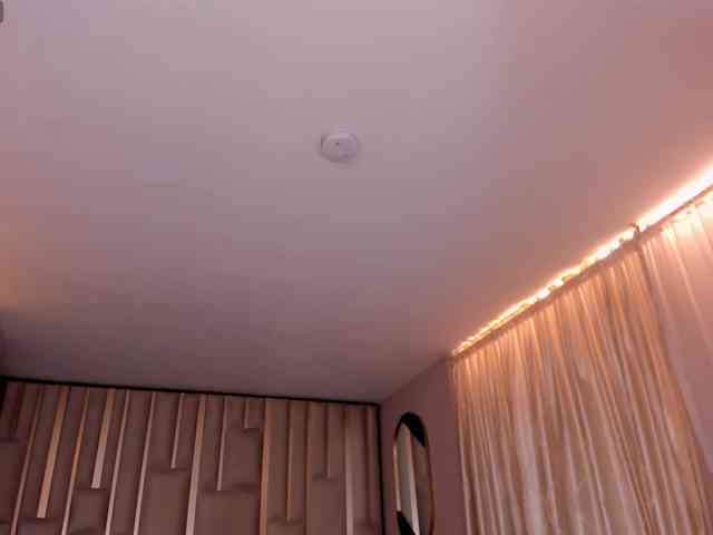 CelesteMoon webcam