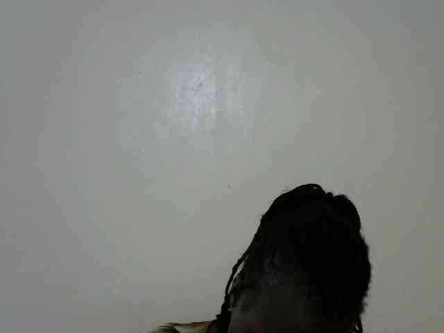 Hottiejoy webcam