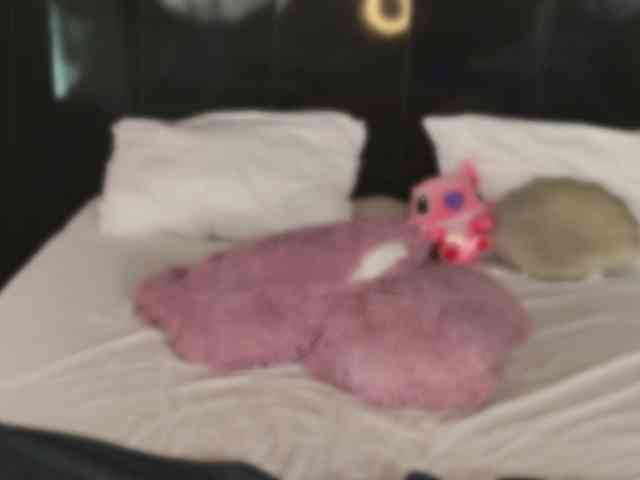 Megansin webcam