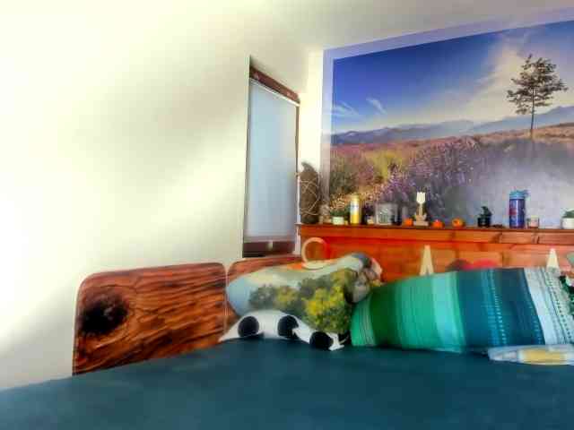 anissawhitens webcam