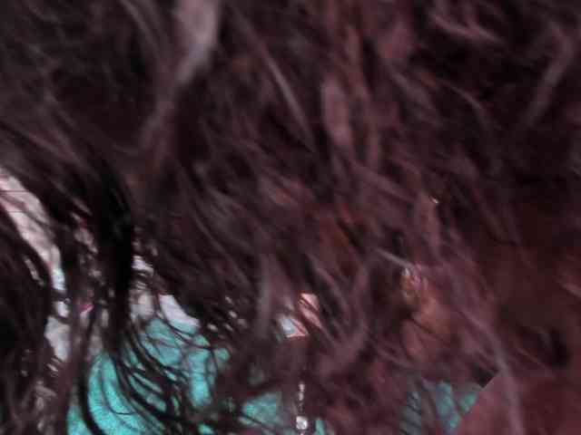 megan-loviitz webcam