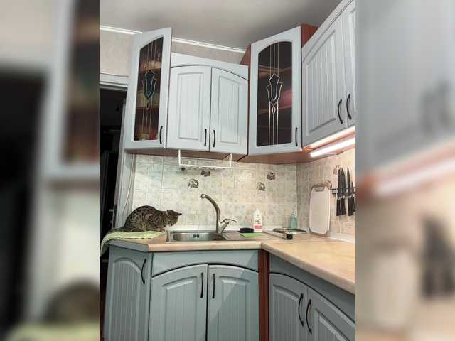 Рунетки: , секс чат бесплатно