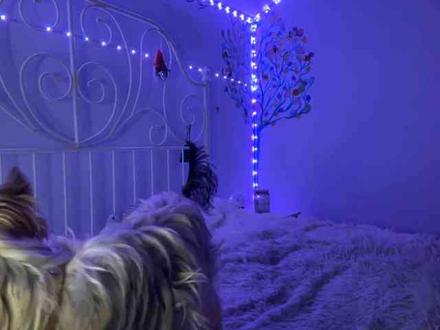 MoiraSesay webcam