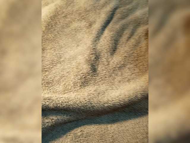 Gratis Live Sexcam mit VasilisaAndSergey VasilisaAndSergey